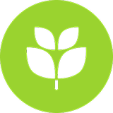 Excellence Lawncare Services and More